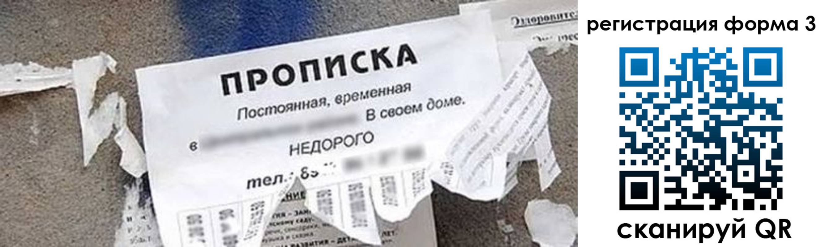 прописка 2025 в Тайге